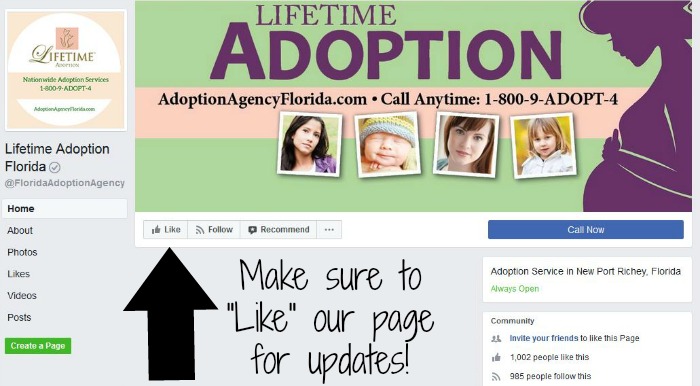 Lifetime Adoption Florida has reached 1,000 fans on Facebook!
