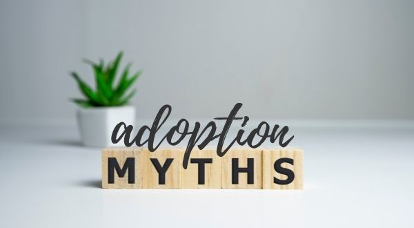 Adoption myths graphic, building blocks spell the word myths